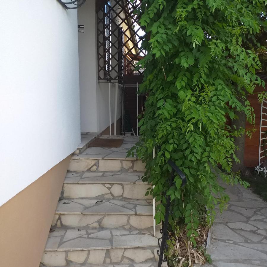 Studio Colmar Dış mekan fotoğraf